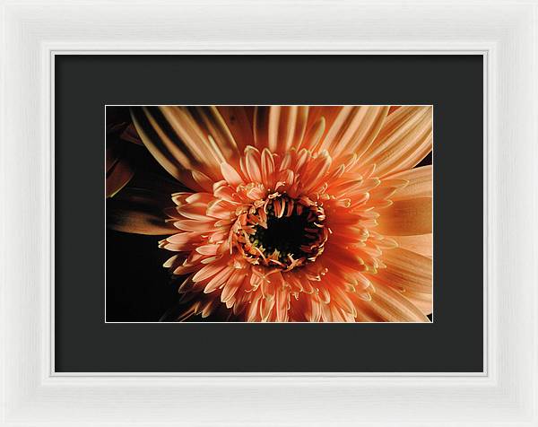 Raw Flowers 9 - Framed Print