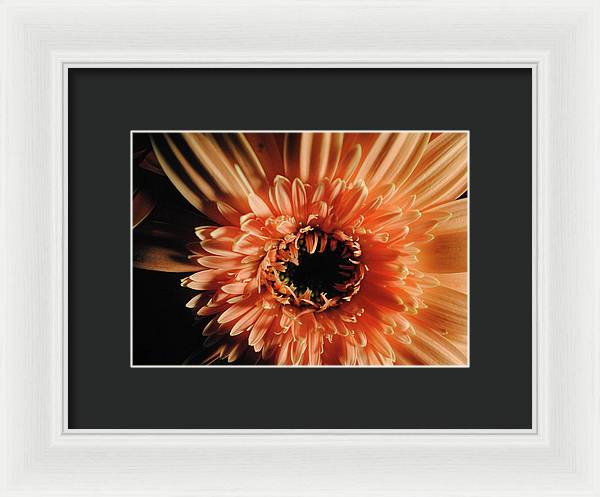 Raw Flowers 9 - Framed Print