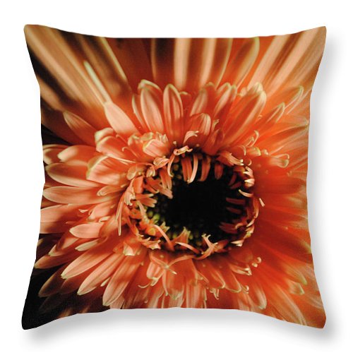Raw Flowers 9 - Throw Pillow
