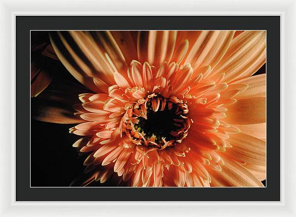 Raw Flowers 9 - Framed Print