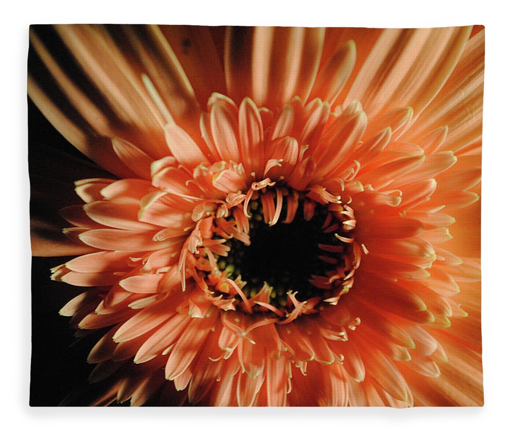 Raw Flowers 9 - Blanket