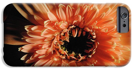 Raw Flowers 9 - Phone Case