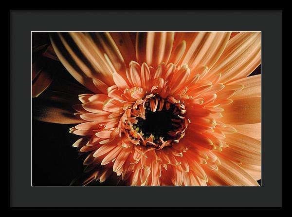 Raw Flowers 9 - Framed Print
