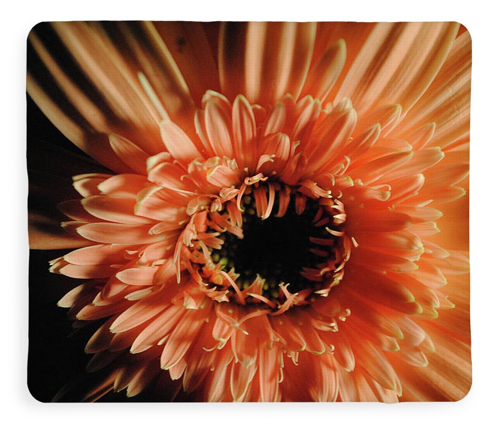 Raw Flowers 9 - Blanket