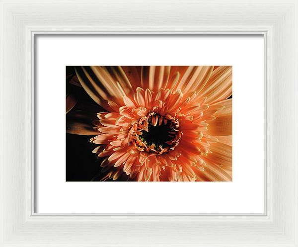 Raw Flowers 9 - Framed Print