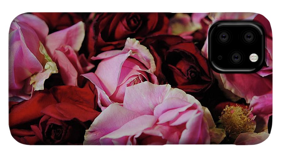 Red and Pink Rose Heads - Phone Case