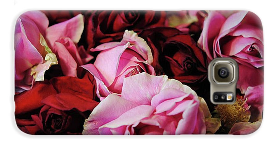Red and Pink Rose Heads - Phone Case
