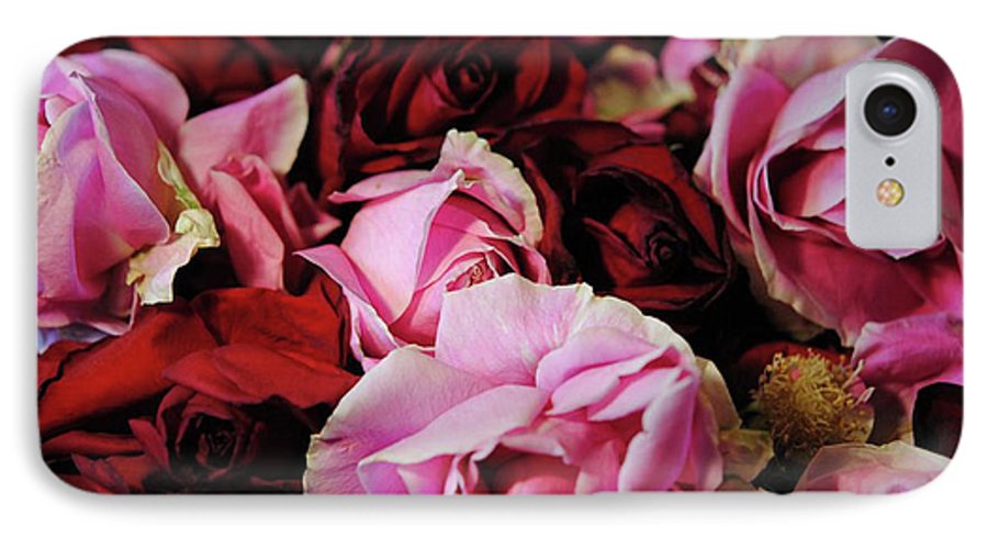 Red and Pink Rose Heads - Phone Case