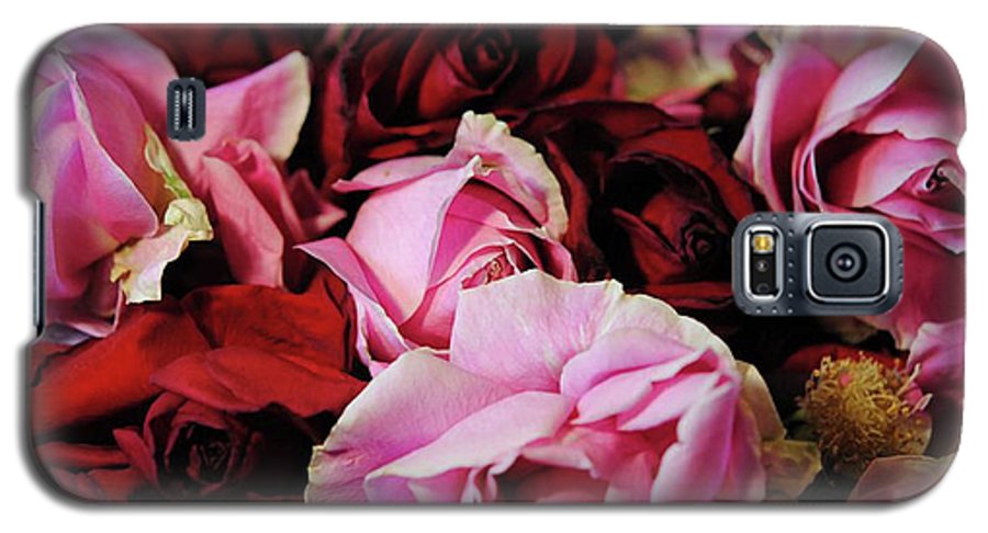 Red and Pink Rose Heads - Phone Case