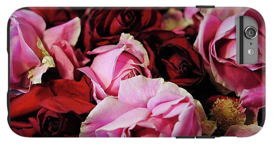 Red and Pink Rose Heads - Phone Case