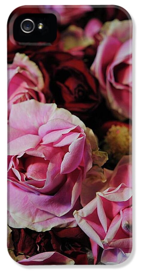 Red and Pink Roses - Phone Case