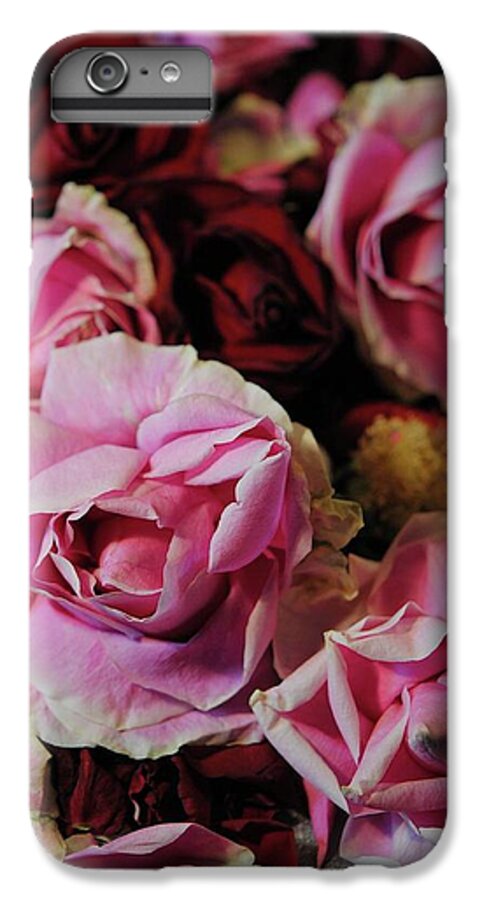 Red and Pink Roses - Phone Case