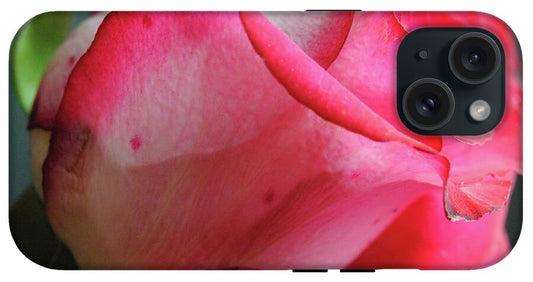 Red and White Rose in Soft Light - Phone Case