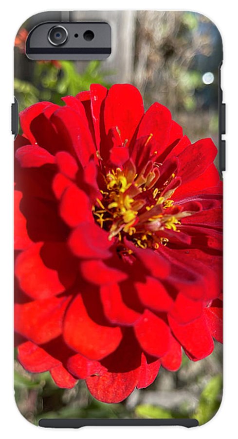 Red Flower In Autumn - Phone Case