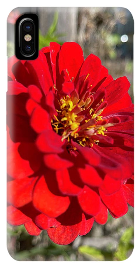Red Flower In Autumn - Phone Case