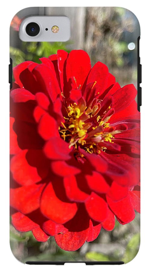 Red Flower In Autumn - Phone Case