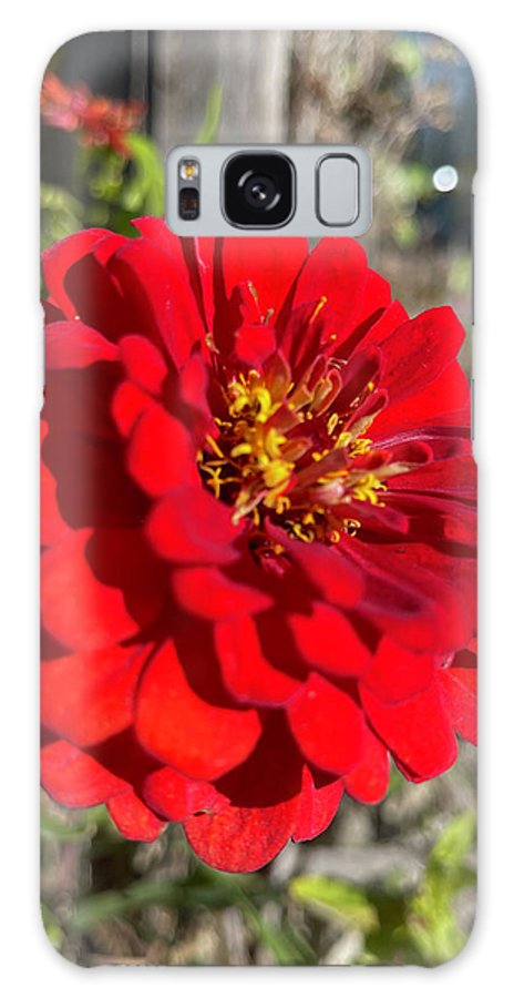 Red Flower In Autumn - Phone Case