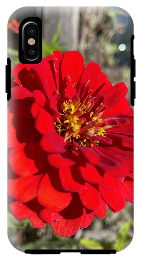 Red Flower In Autumn - Phone Case