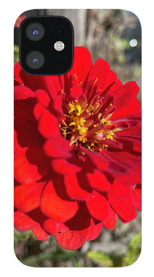 Red Flower In Autumn - Phone Case