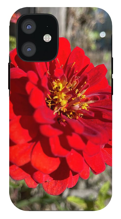 Red Flower In Autumn - Phone Case