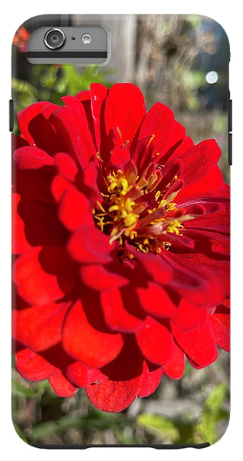 Red Flower In Autumn - Phone Case