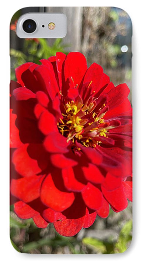 Red Flower In Autumn - Phone Case