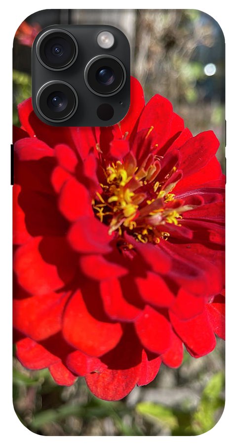 Red Flower In Autumn - Phone Case