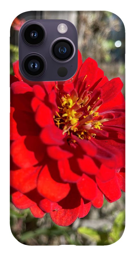 Red Flower In Autumn - Phone Case