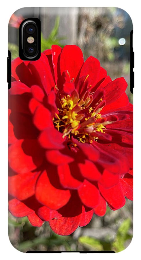 Red Flower In Autumn - Phone Case