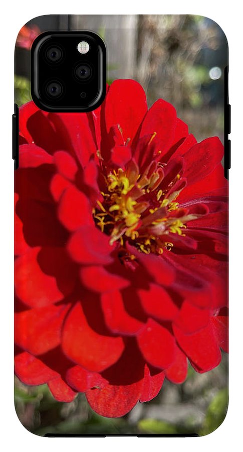 Red Flower In Autumn - Phone Case