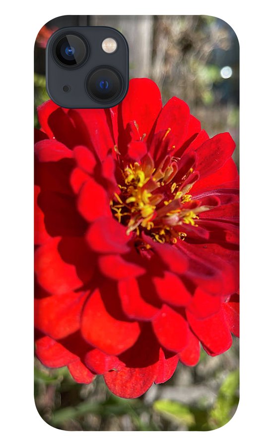 Red Flower In Autumn - Phone Case
