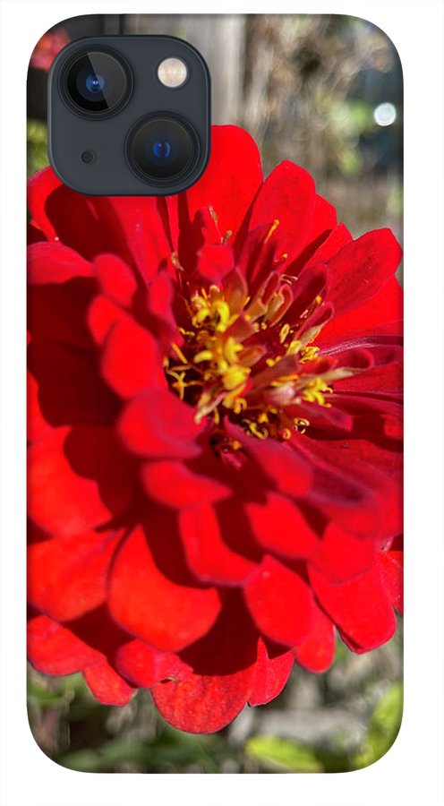 Red Flower In Autumn - Phone Case