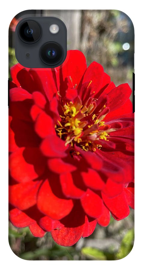 Red Flower In Autumn - Phone Case