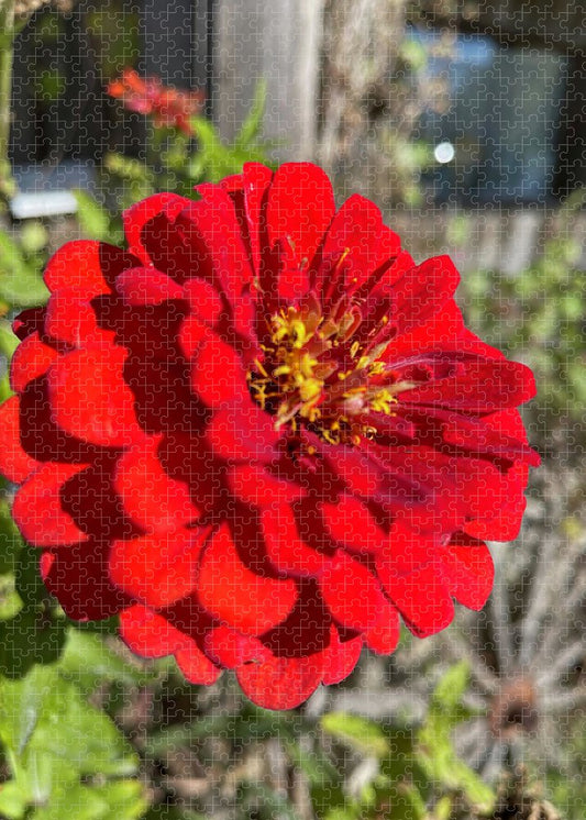 Red Flower In Autumn - Puzzle
