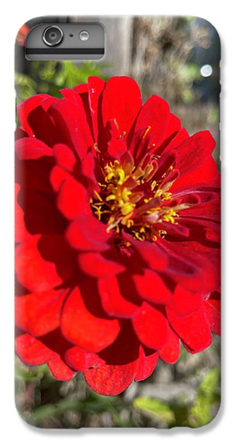 Red Flower In Autumn - Phone Case