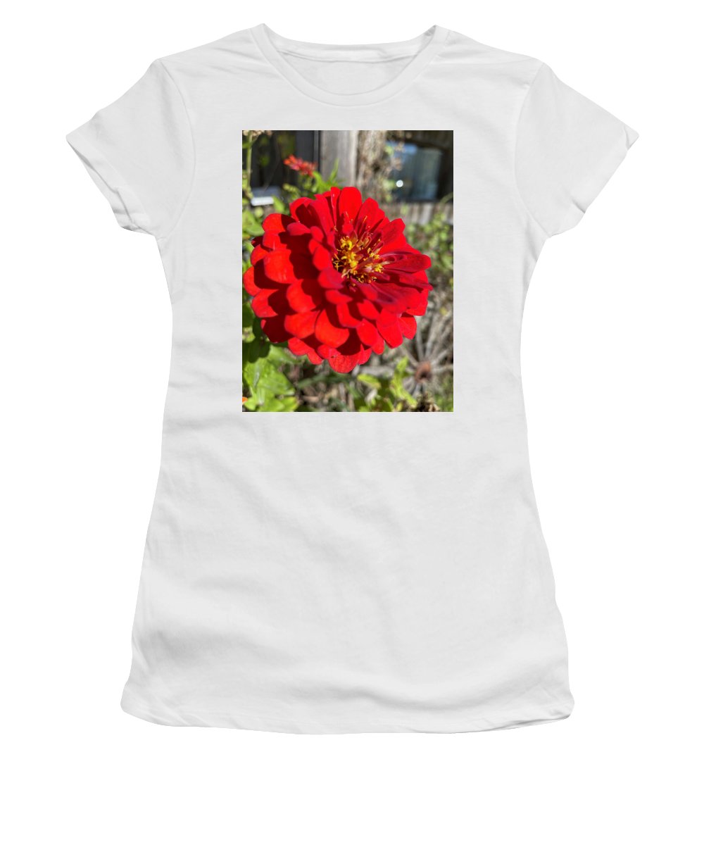 Red Flower In Autumn - Women's T-Shirt