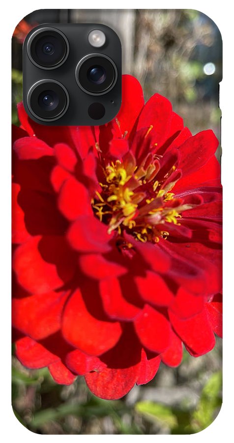 Red Flower In Autumn - Phone Case