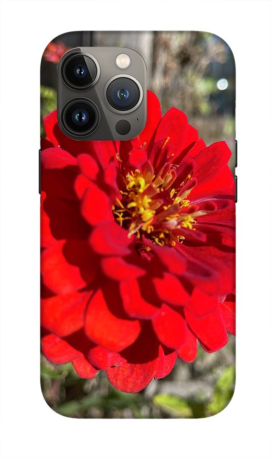 Red Flower In Autumn - Phone Case