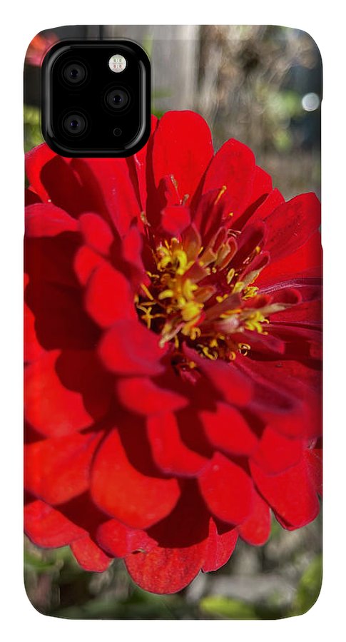 Red Flower In Autumn - Phone Case