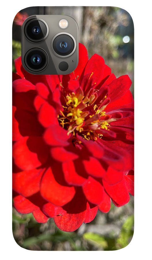 Red Flower In Autumn - Phone Case