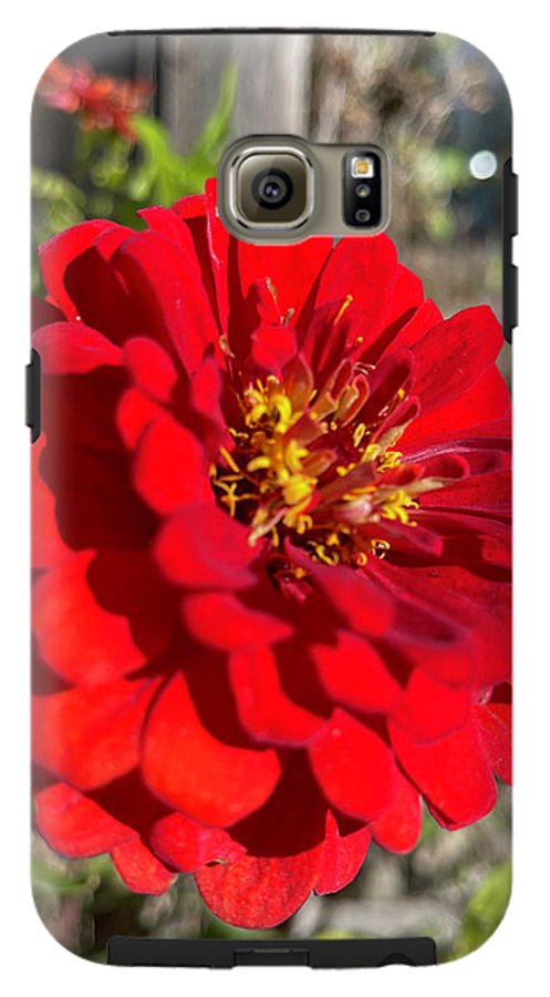 Red Flower In Autumn - Phone Case