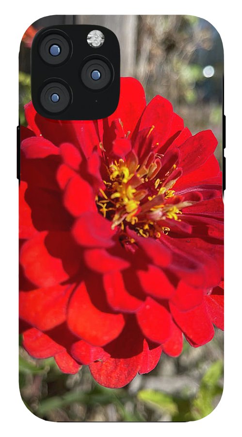 Red Flower In Autumn - Phone Case