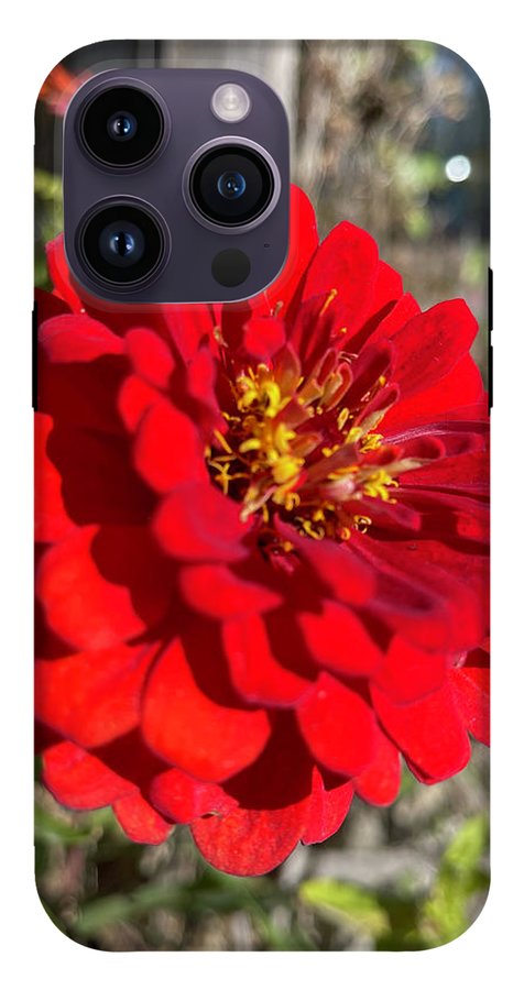 Red Flower In Autumn - Phone Case