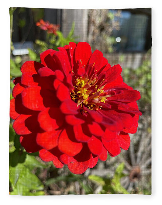 Red Flower In Autumn - Blanket