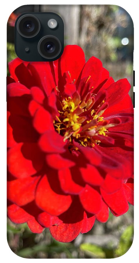 Red Flower In Autumn - Phone Case