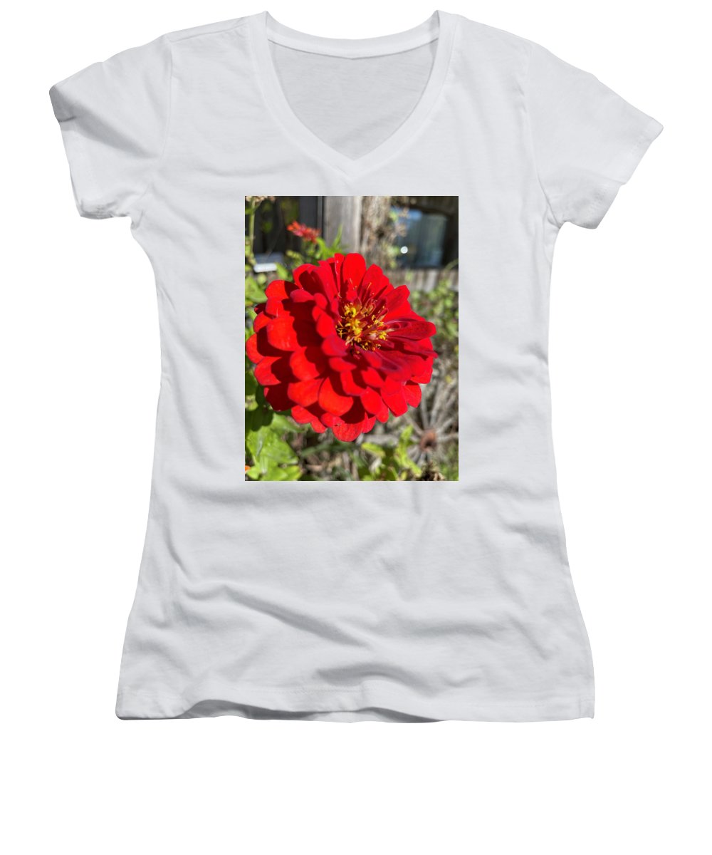 Red Flower In Autumn - Women's V-Neck