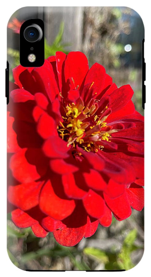 Red Flower In Autumn - Phone Case