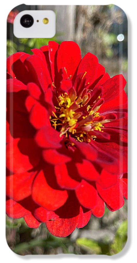 Red Flower In Autumn - Phone Case