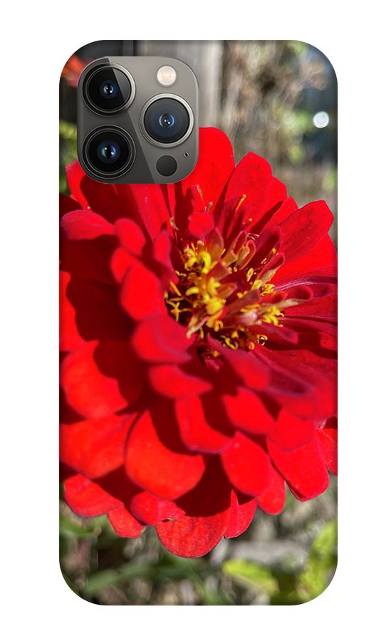 Red Flower In Autumn - Phone Case
