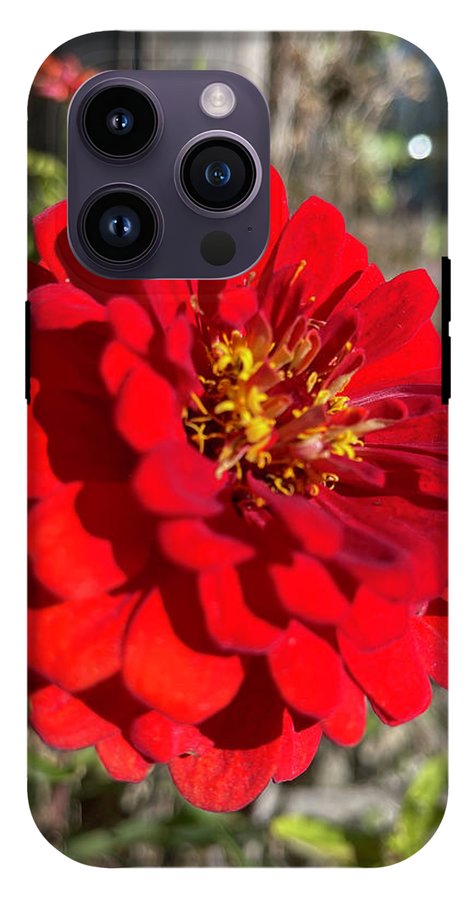 Red Flower In Autumn - Phone Case